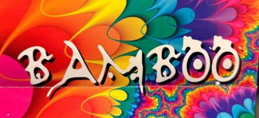 Logo BAMBOO INDUMENTARIA